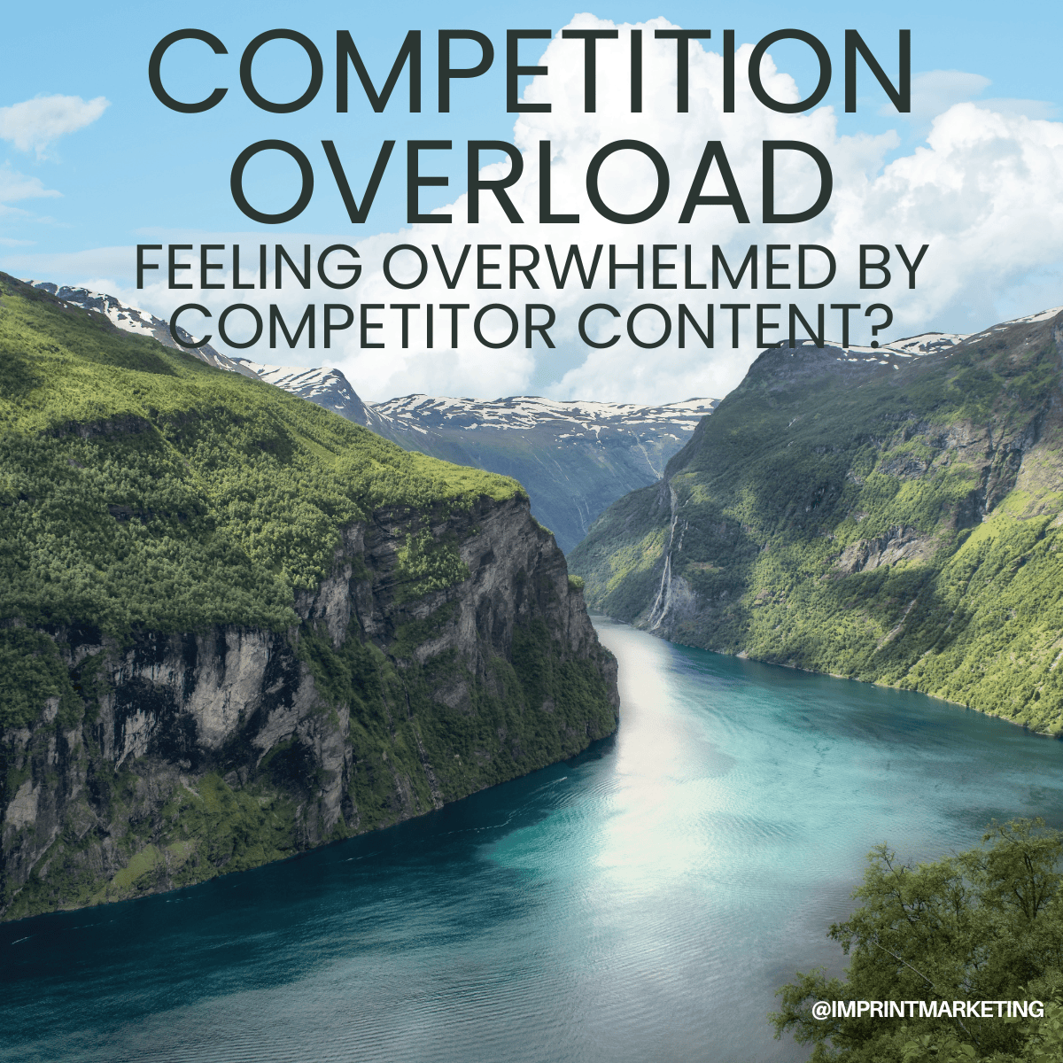 Competition Overload